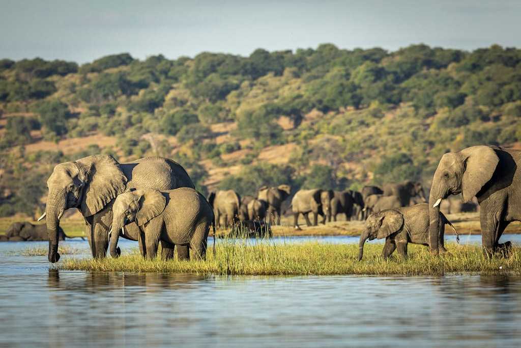Tarangire National Park Tanzania